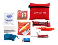 Survival Mini Kit