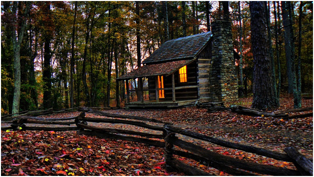 Cabin-in-the-woods
