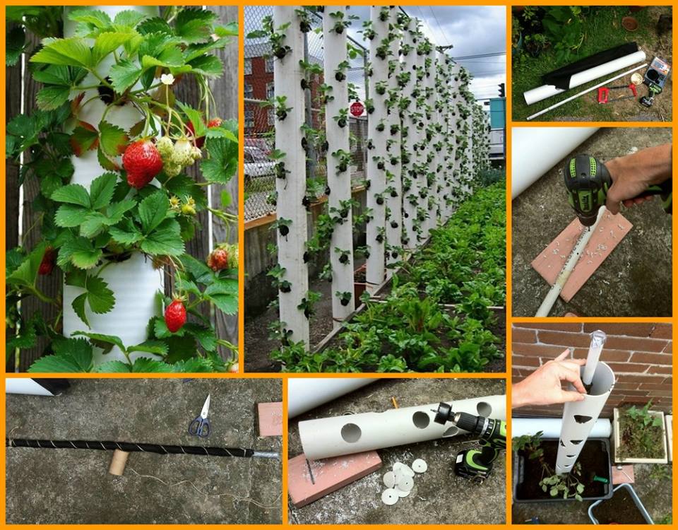 Do It Yourself, How to make your own vertical garden in a small space.