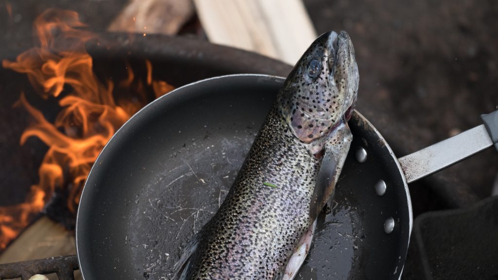 Freshly caught trout cooking in a skillet over an open flame