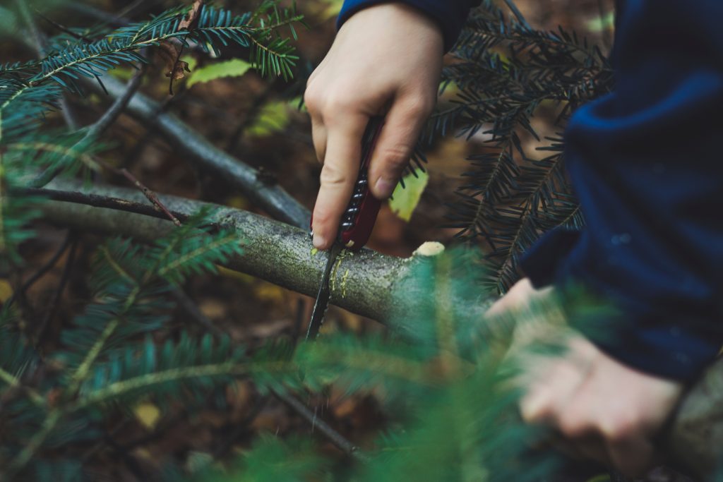 Lost in the wild: Survival skills that you can always depend on