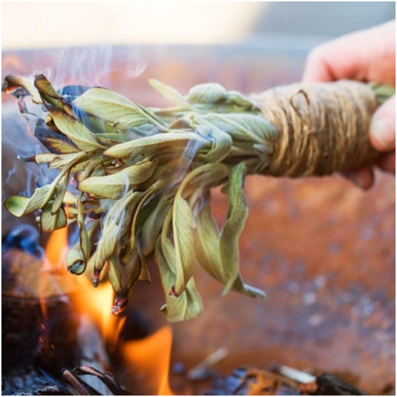 Camping Hack #14 Keep the Mosquitoes Away by Burning Sage