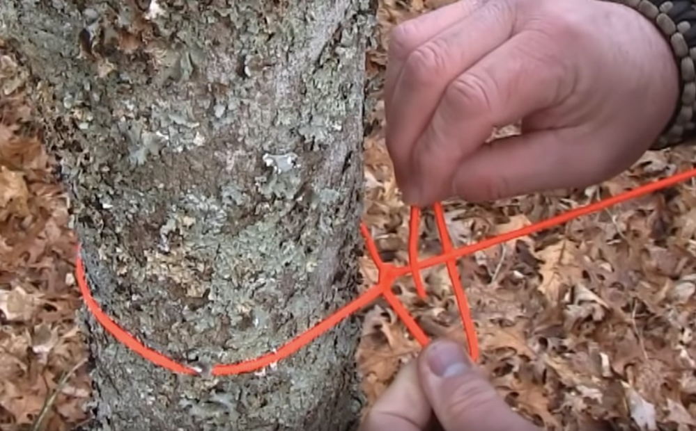 Man tying half hitch knot around a tree