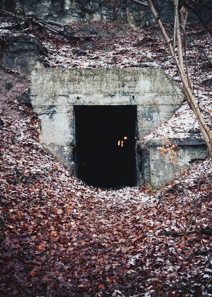 Bugout Bunker