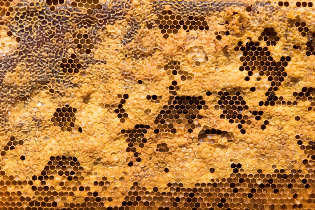 Across cultures, honey played a role in rituals and practices.